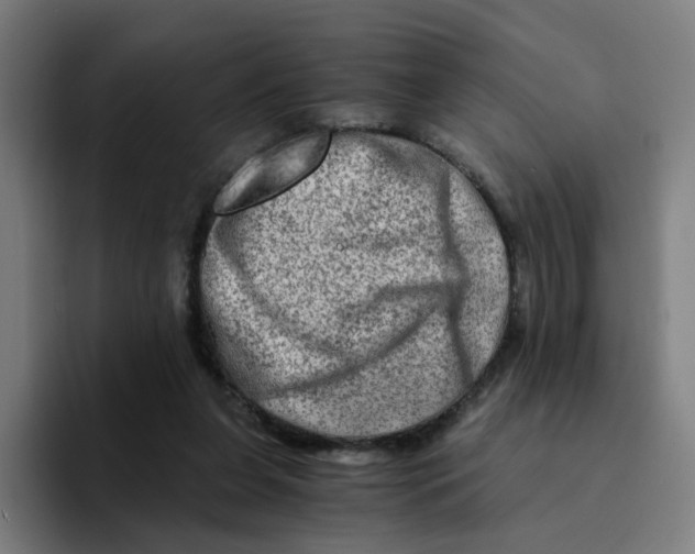 X0000094200255200711161814