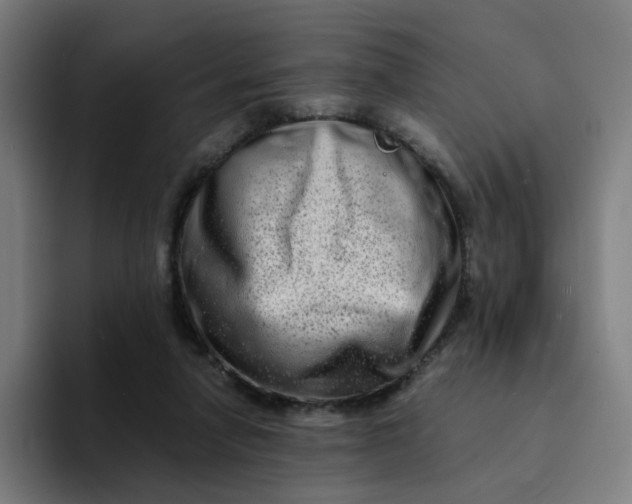 X0000094200258200711161814