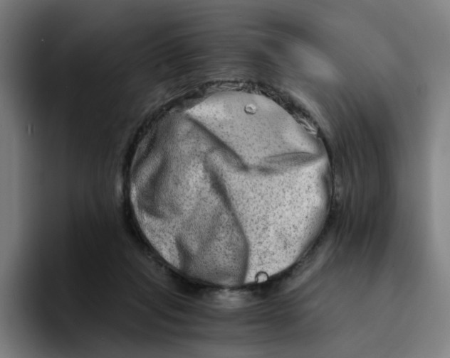 X0000094200261200711161814