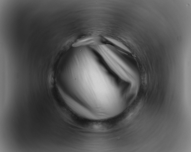 X0000094200264200711161814