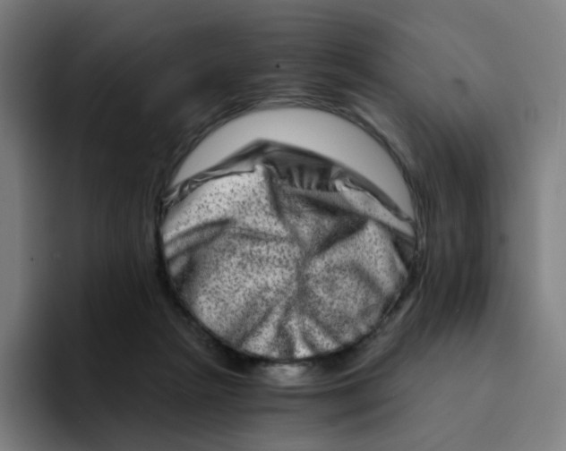 X0000094200265200711161814