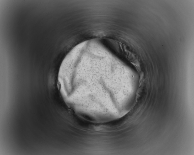 X0000094200268200711161814