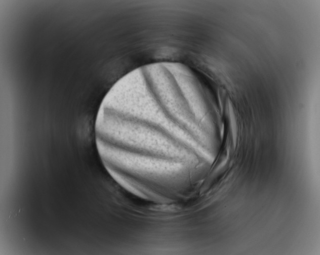 X0000094200273200711161814