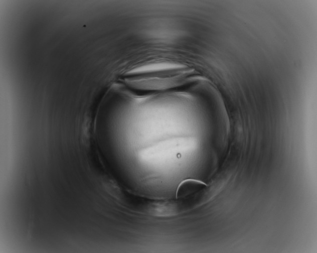 X0000094200275200711161814