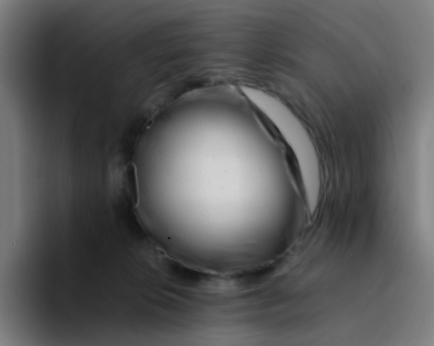 X0000094200276200711161814