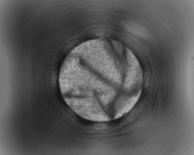 X0000094200279200711161814