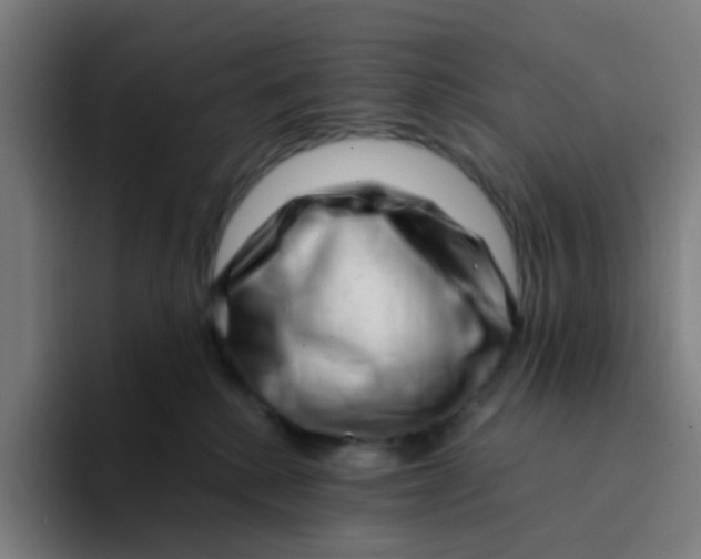 X0000094200280200711161814