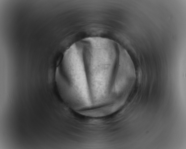 X0000094200283200711161814