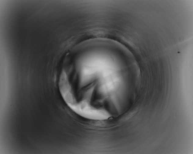 X0000094200288200711161814