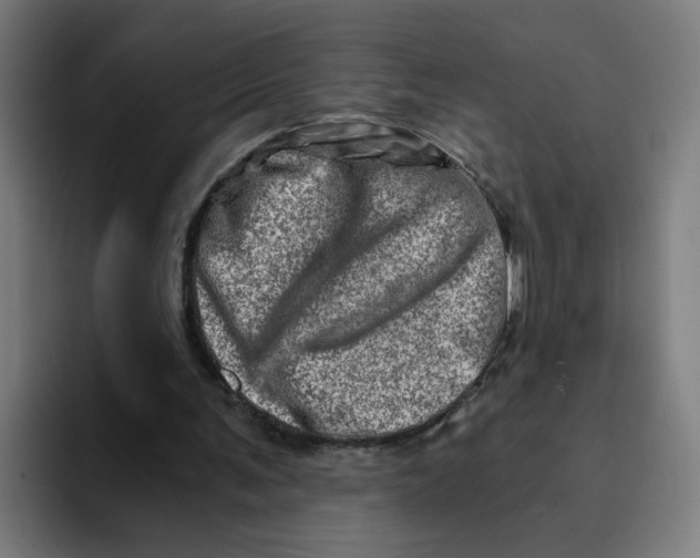 X0000094200291200711161814