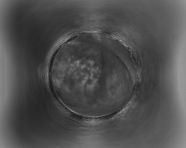 X0000094200293200711161814