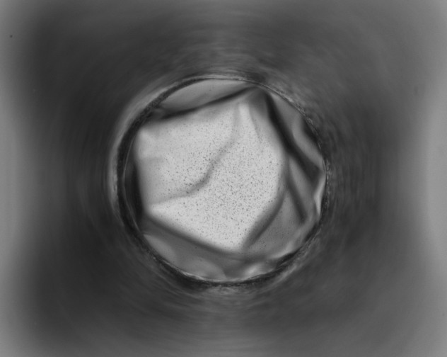 X0000094200294200711161814