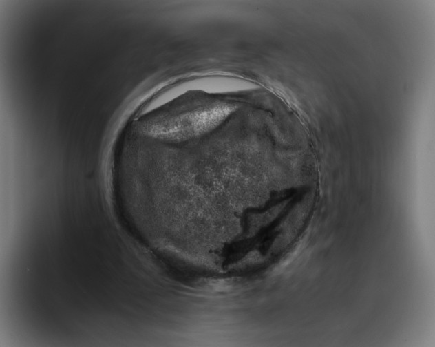 X0000094200295200711161814