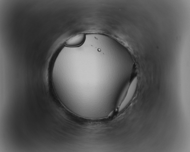 X0000094200296200711161814