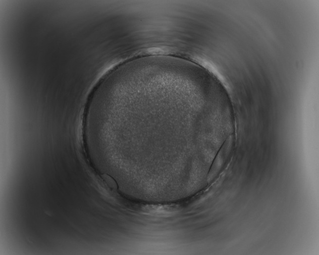 X0000094200297200711161814