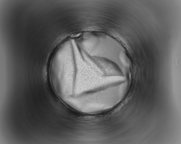 X0000094200298200711161814