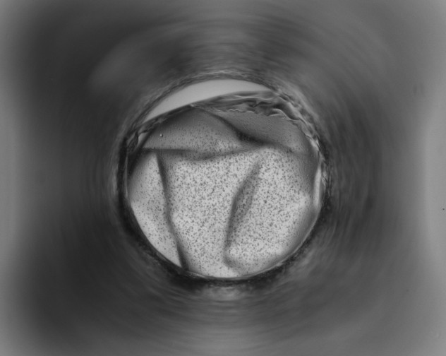 X0000094200299200711161814