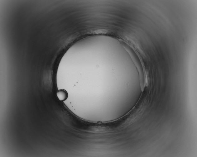 X0000094200300200711161814