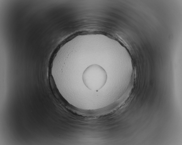 X0000094200301200711161813