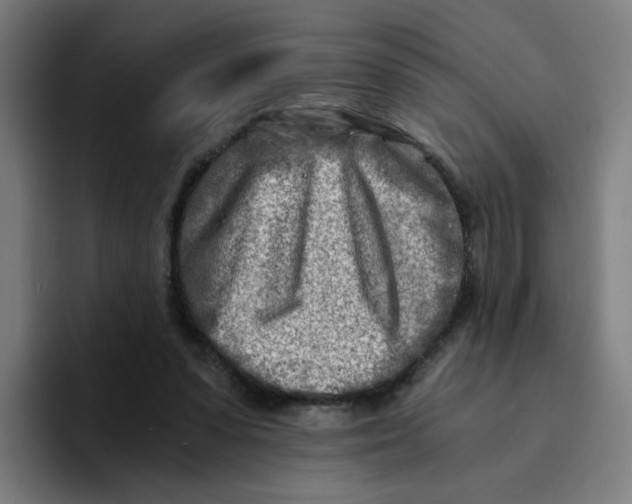 X0000094200303200711161813