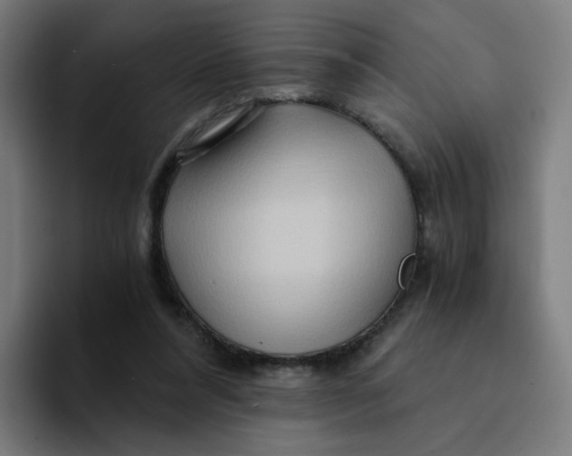 X0000094200304200711161813