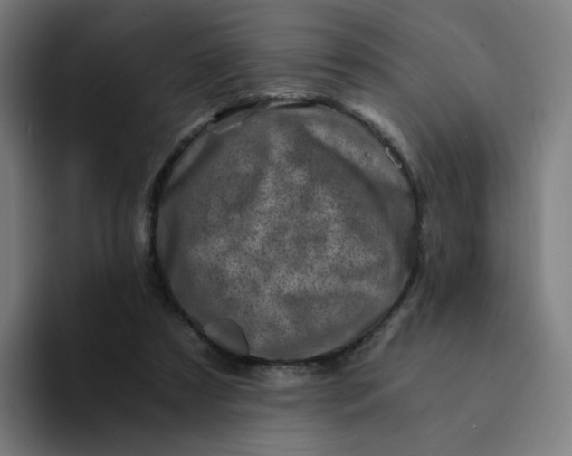 X0000094200305200711161813