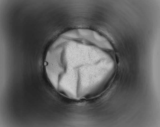 X0000094200306200711161813