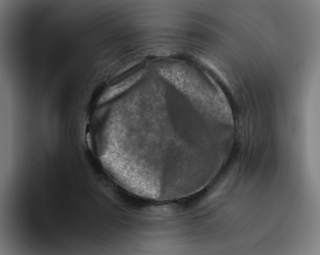 X0000094200307200711161813