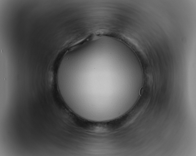 X0000094200308200711161813