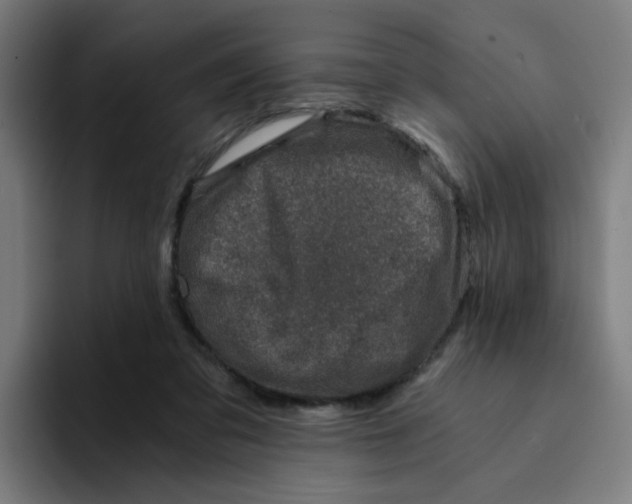 X0000094200309200711161813