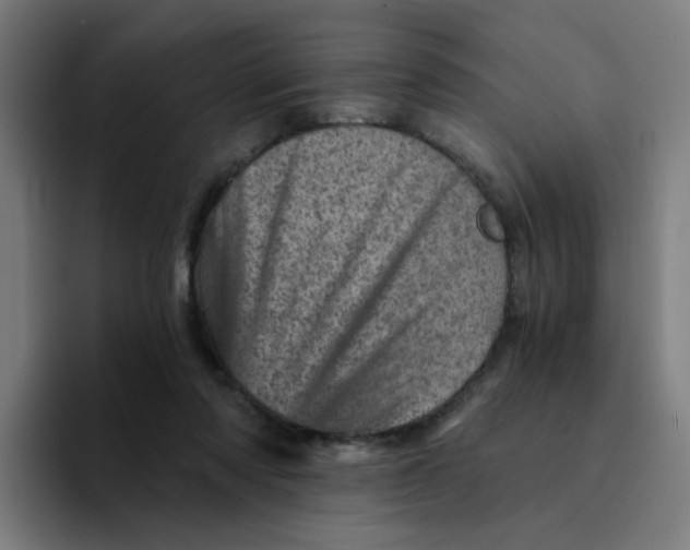 X0000094200310200711161813