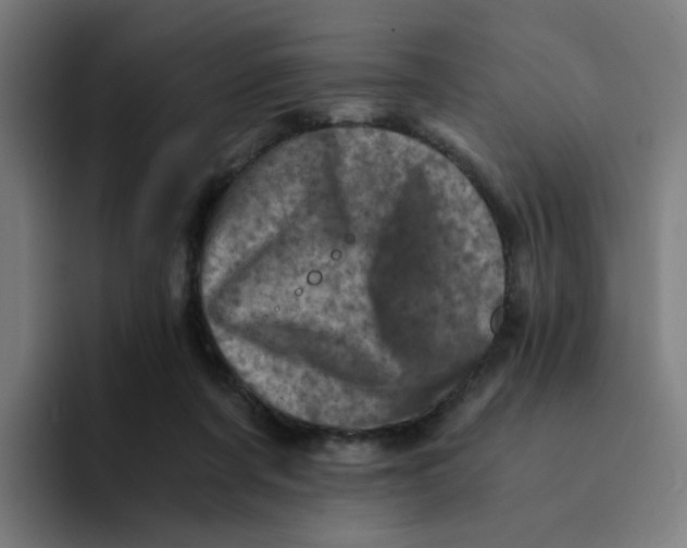 X0000094200311200711161813