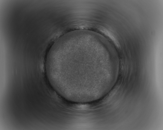 X0000094200313200711161813