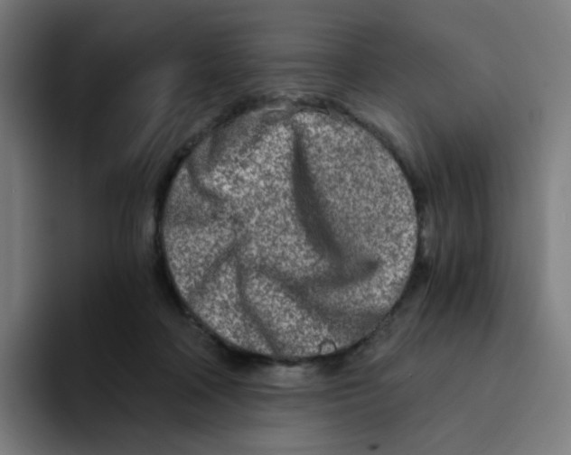 X0000094200314200711161813