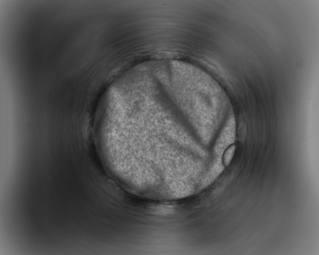 X0000094200318200711161813