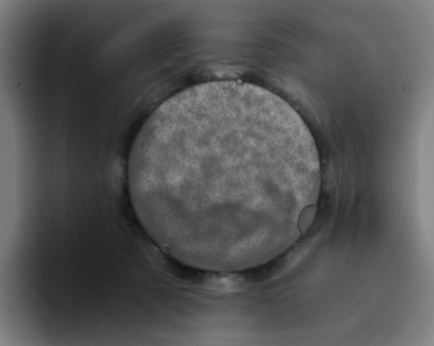 X0000094200321200711161813