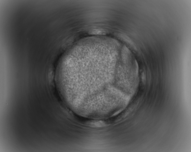 X0000094200322200711161813