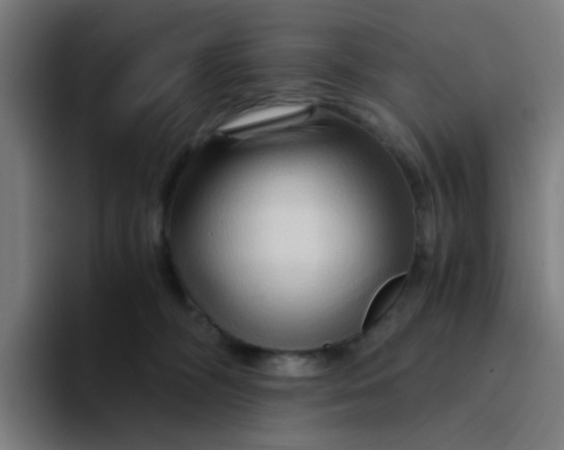 X0000094200326200711161813