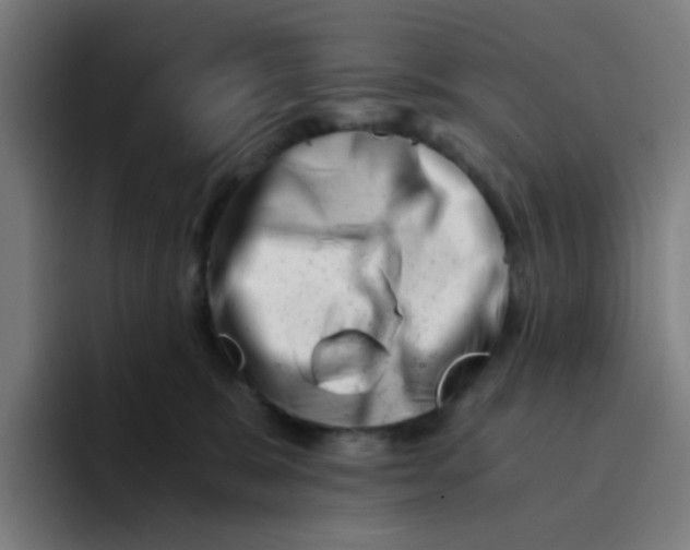 X0000094200327200711161813