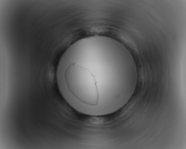 X0000094200328200711161813