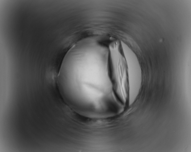 X0000094200329200711161813