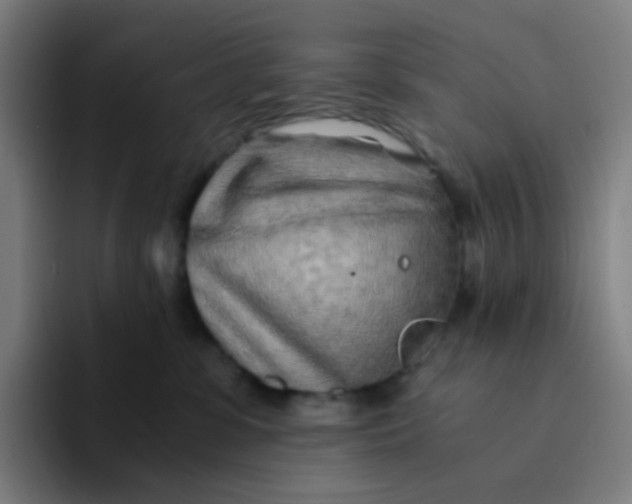 X0000094200331200711161813