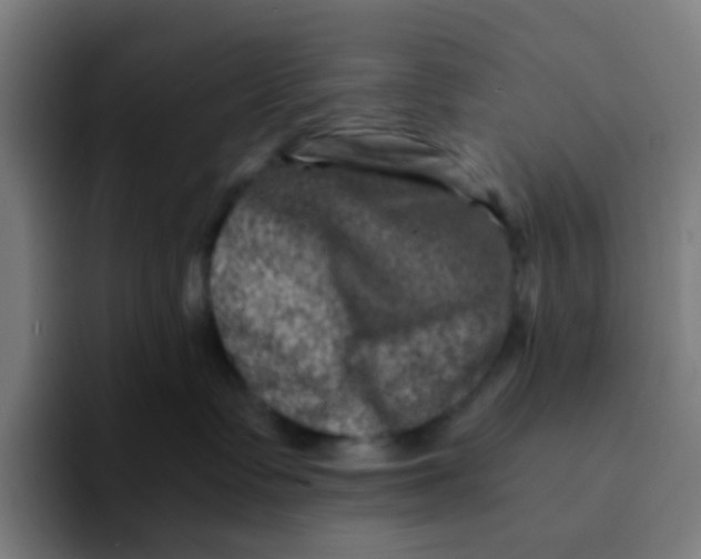 X0000094200335200711161813