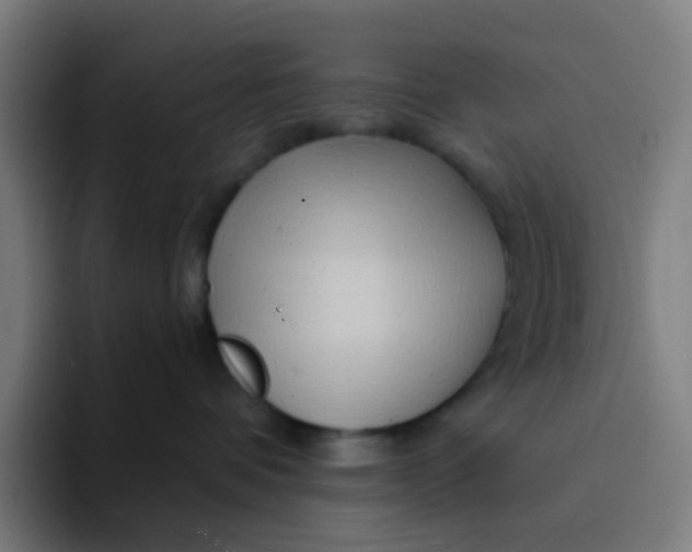 X0000094200336200711161813