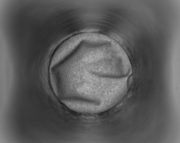 X0000094200337200711161812