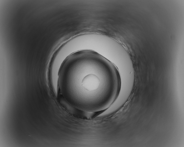 X0000094200340200711161812