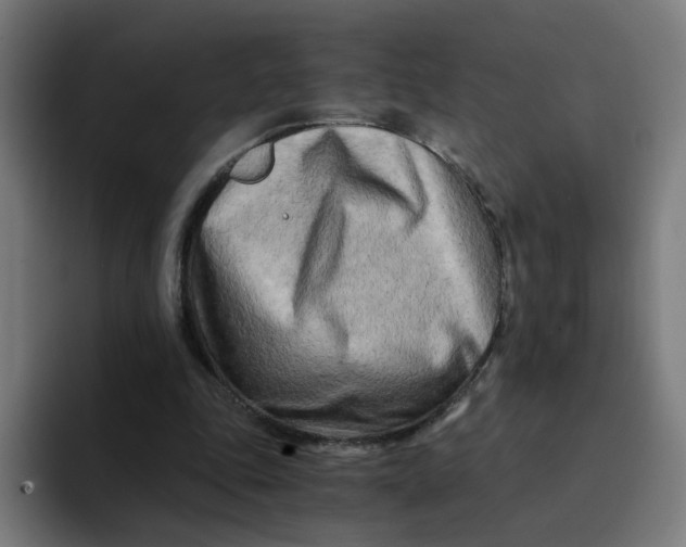 X0000094200343200711161812