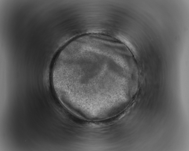 X0000094200346200711161813