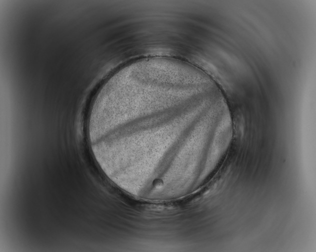 X0000094200347200711161813