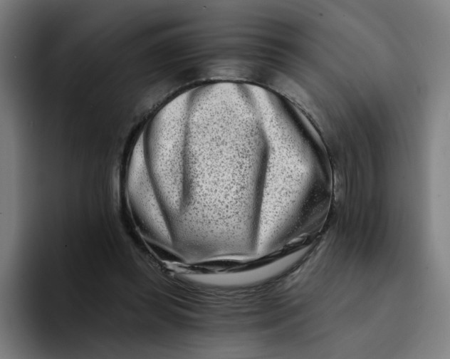 X0000094200349200711161813